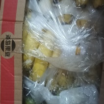 香蕉批发，供应各大超市