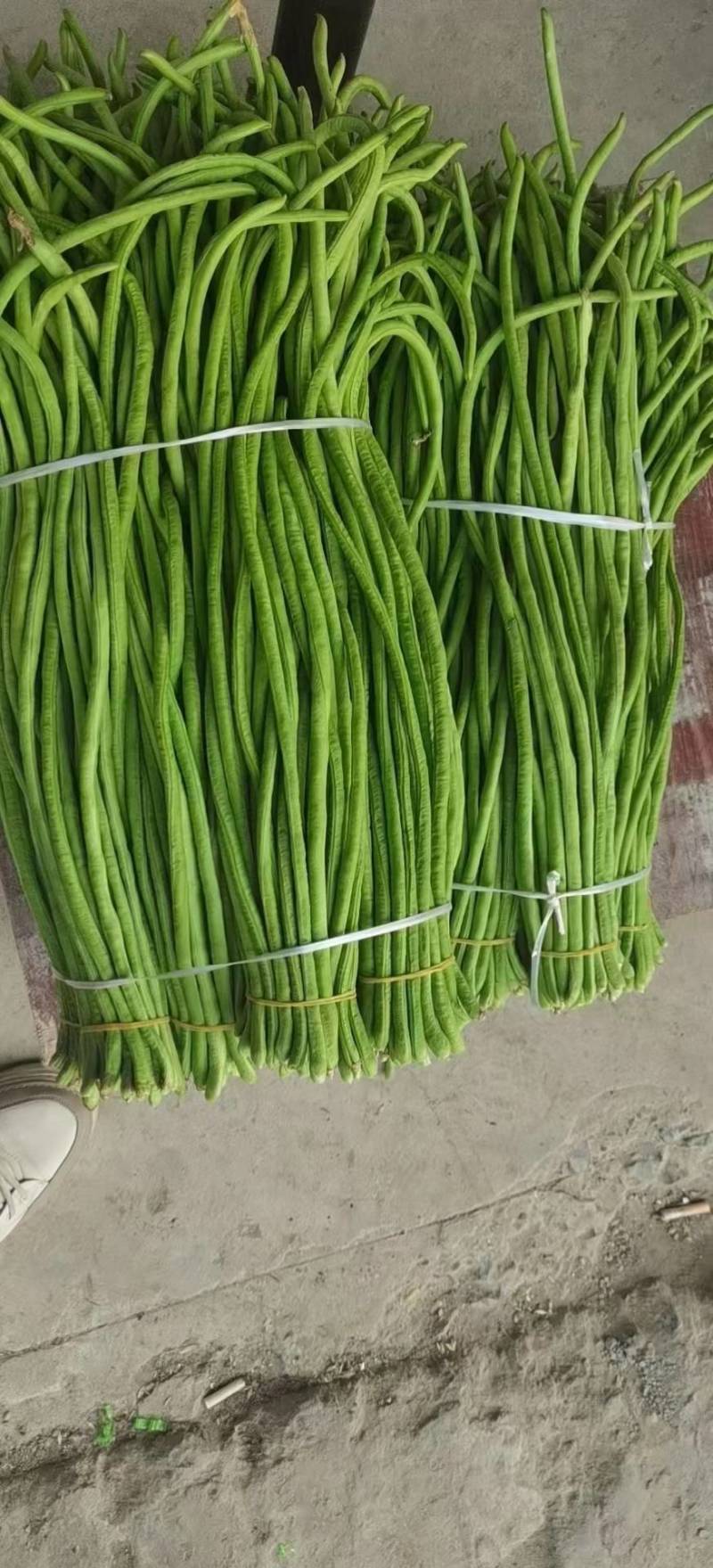 湖北长豆角缸豆产地直发一手货源保证质量代发全国