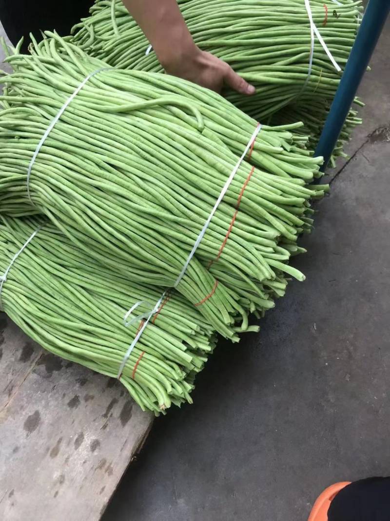 湖北长豆角缸豆产地直发一手货源保证质量代发全国