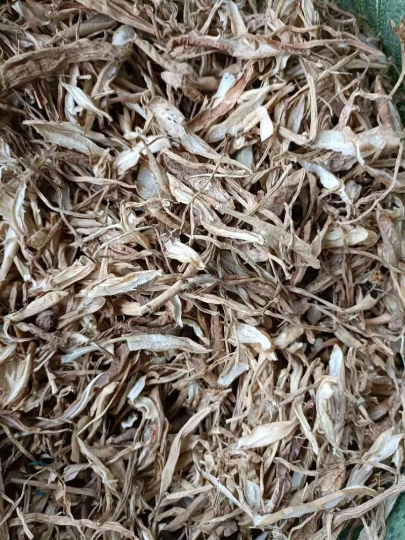 百部片子条子都有野生的量多需要老板联系我