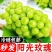 阳光玫瑰电商一件代发