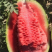 山西省运城市万荣县黄河滩露天金城武大西瓜