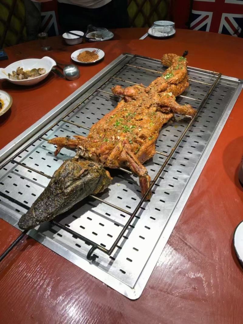 鳄鱼商品鳄鱼人工养殖鳄鱼活体大小规格齐全