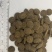 大颗粒驯犬粮，高适口！驯犬的不二选择