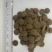 大颗粒驯犬粮，高适口！驯犬的不二选择