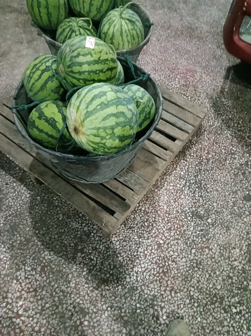 皮薄肉多的西瓜