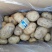 黄心土豆，超市电商**！西森，沃土，齐元峰