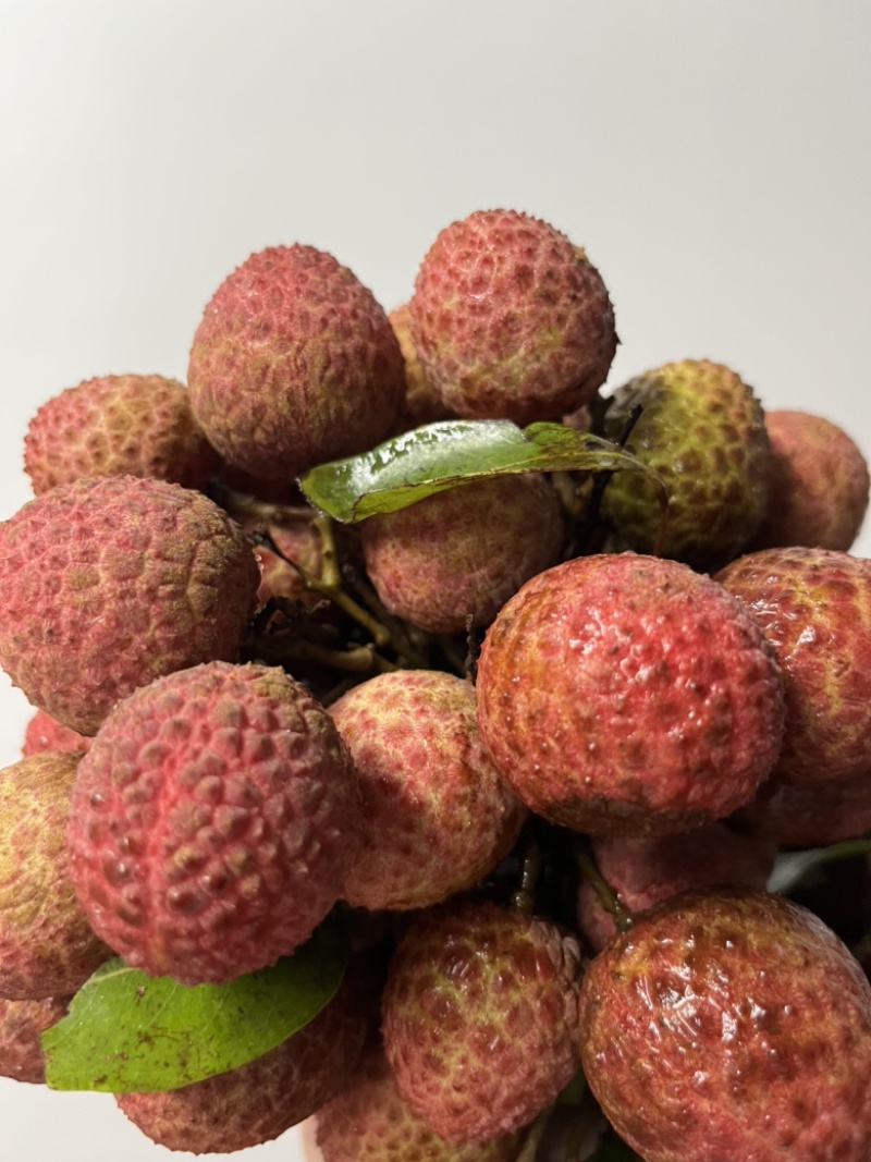 荔枝