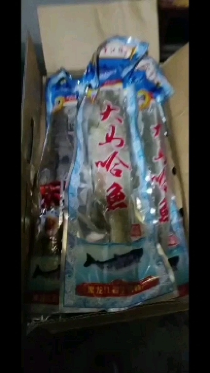 马哈鱼