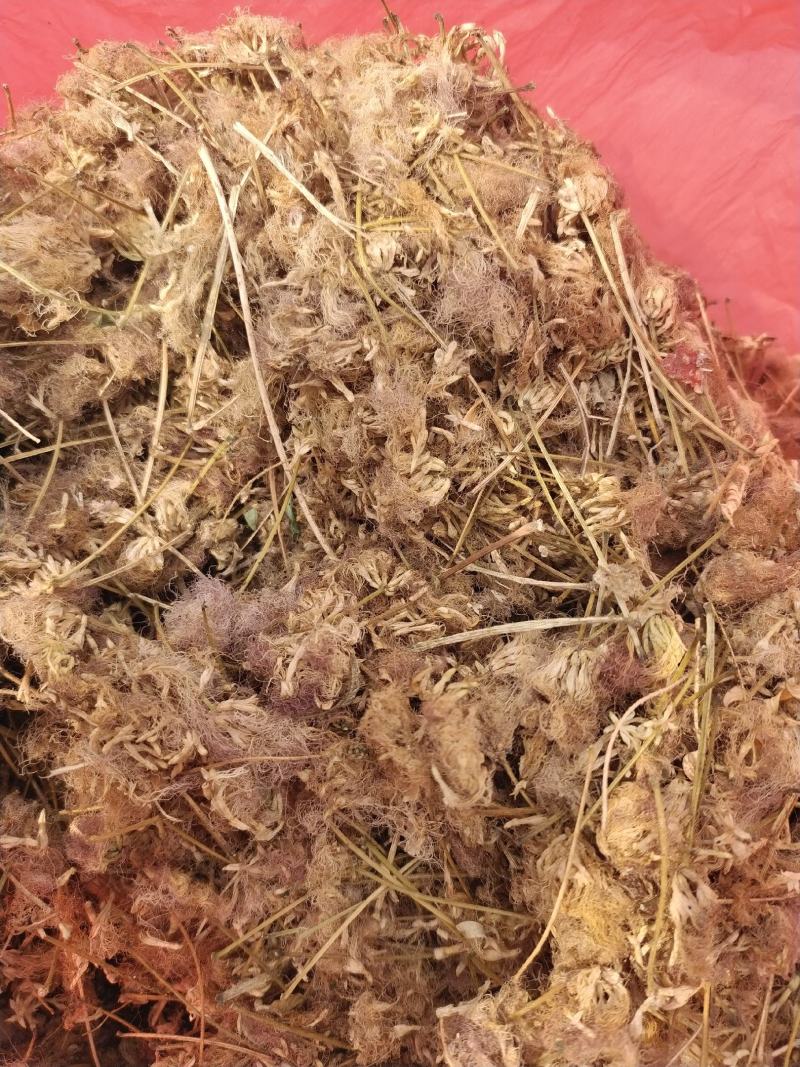 合欢花芙蓉花山东临沂产地直销新货颜色鲜黄干净无杂质