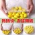 网红保鲜膜套食品保鲜袋伸拉弹力浴帽鞋套多用途