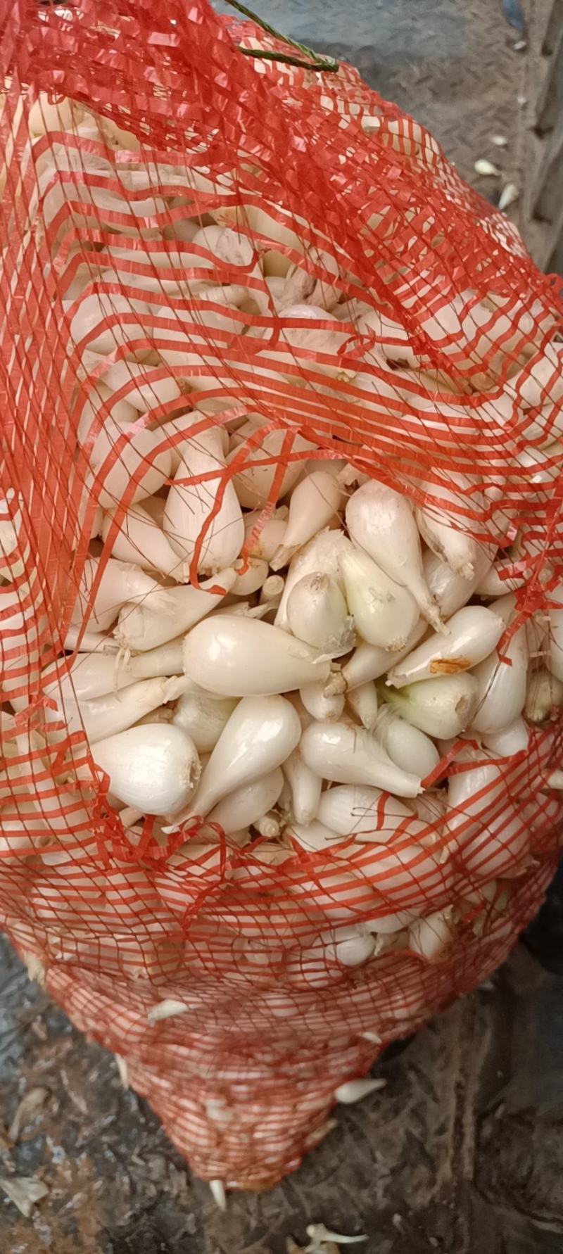 绿色.无公害食品.藠头