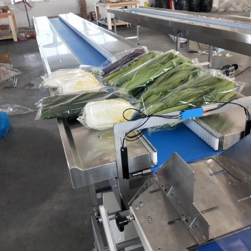生鲜瓜果蔬菜全类自动打包机