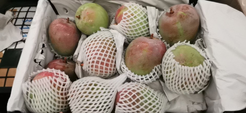 凯特芒果低价接单，社区团购，市场，直播电商平台单子