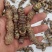 虎掌草，扁竹根，马蹄香，干巴菌，牛干菌