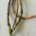 虎掌草，扁竹根，马蹄香，干巴菌，牛干菌