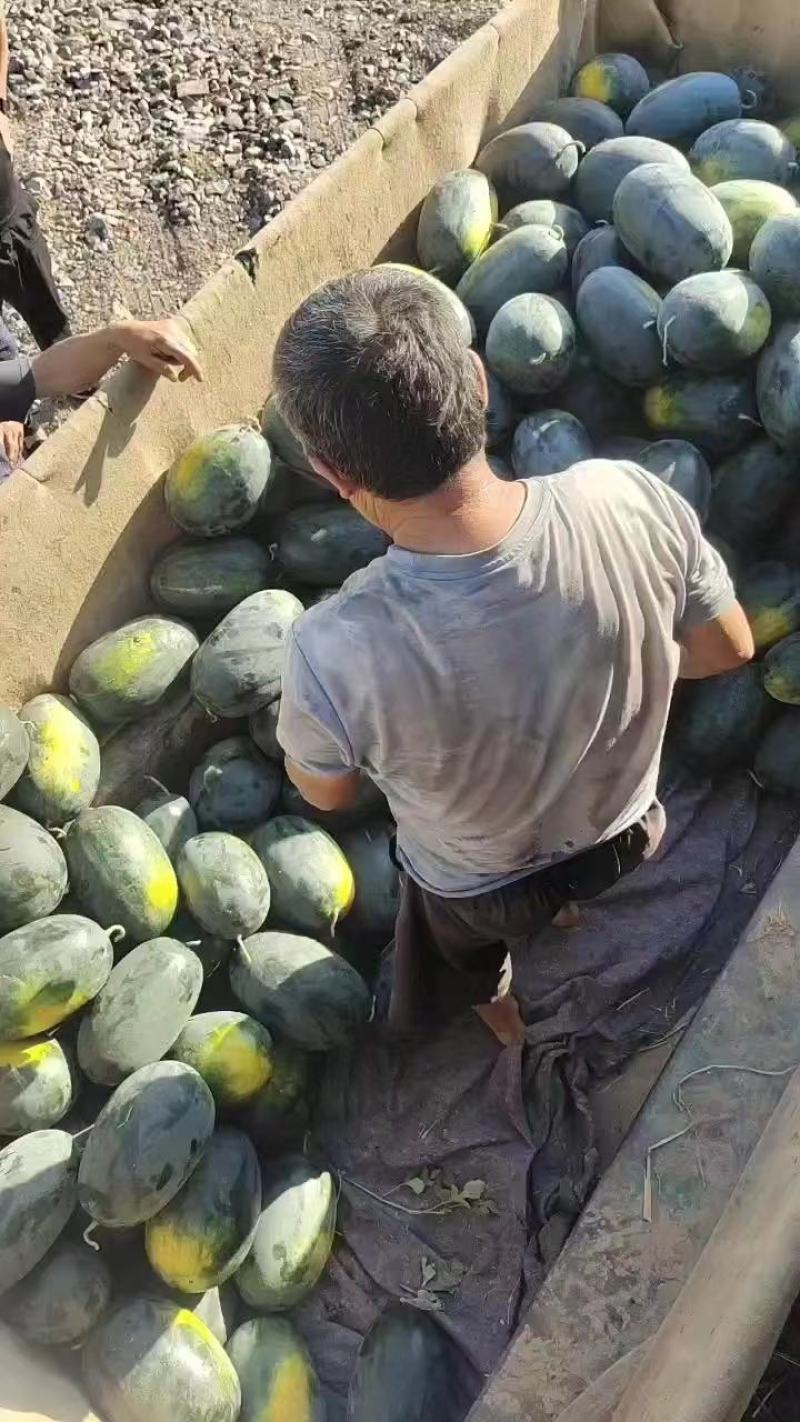精品黑美人西瓜，产地直销，包熟包甜，甘爽清甜