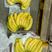 瓦房店市大量批发，南美，厄瓜多尔香蕉