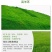 狗牙根百慕大马尼拉高羊茅四季青草坪种子草籽
