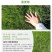 狗牙根百慕大马尼拉高羊茅四季青草坪种子草籽