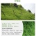 狗牙根百慕大马尼拉高羊茅四季青草坪种子草籽