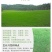 狗牙根百慕大马尼拉高羊茅四季青草坪种子草籽
