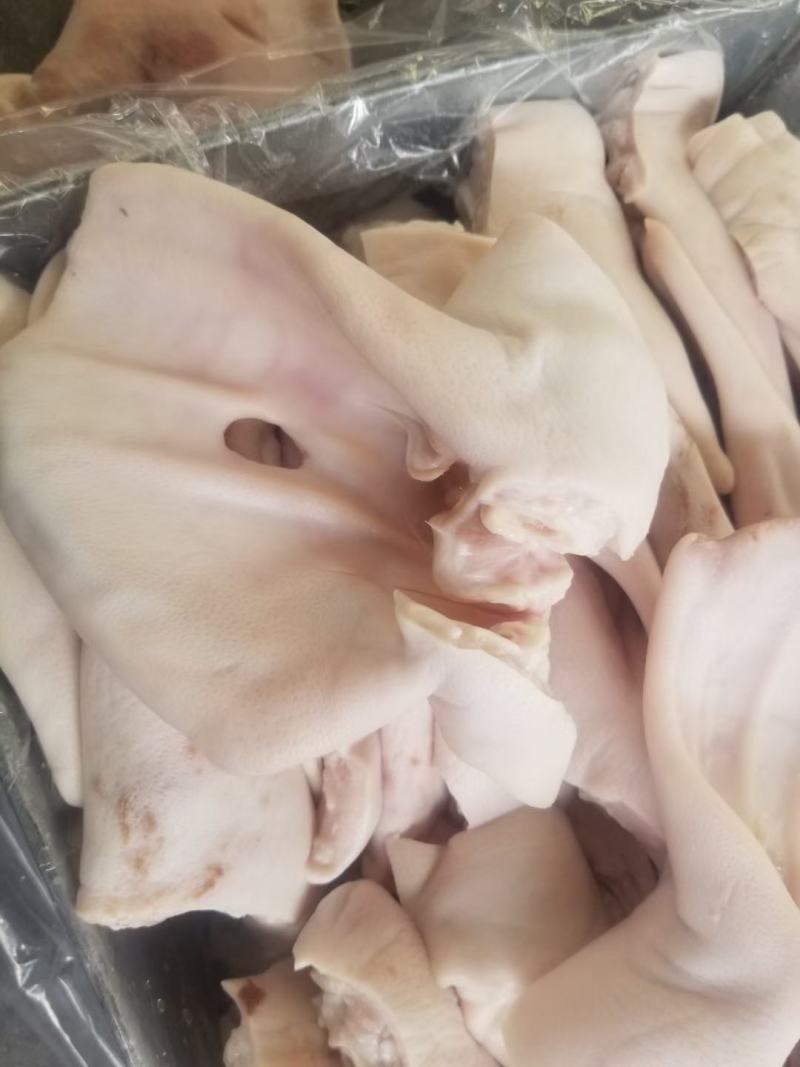 肥猪鲜品缺耳尖猪耳