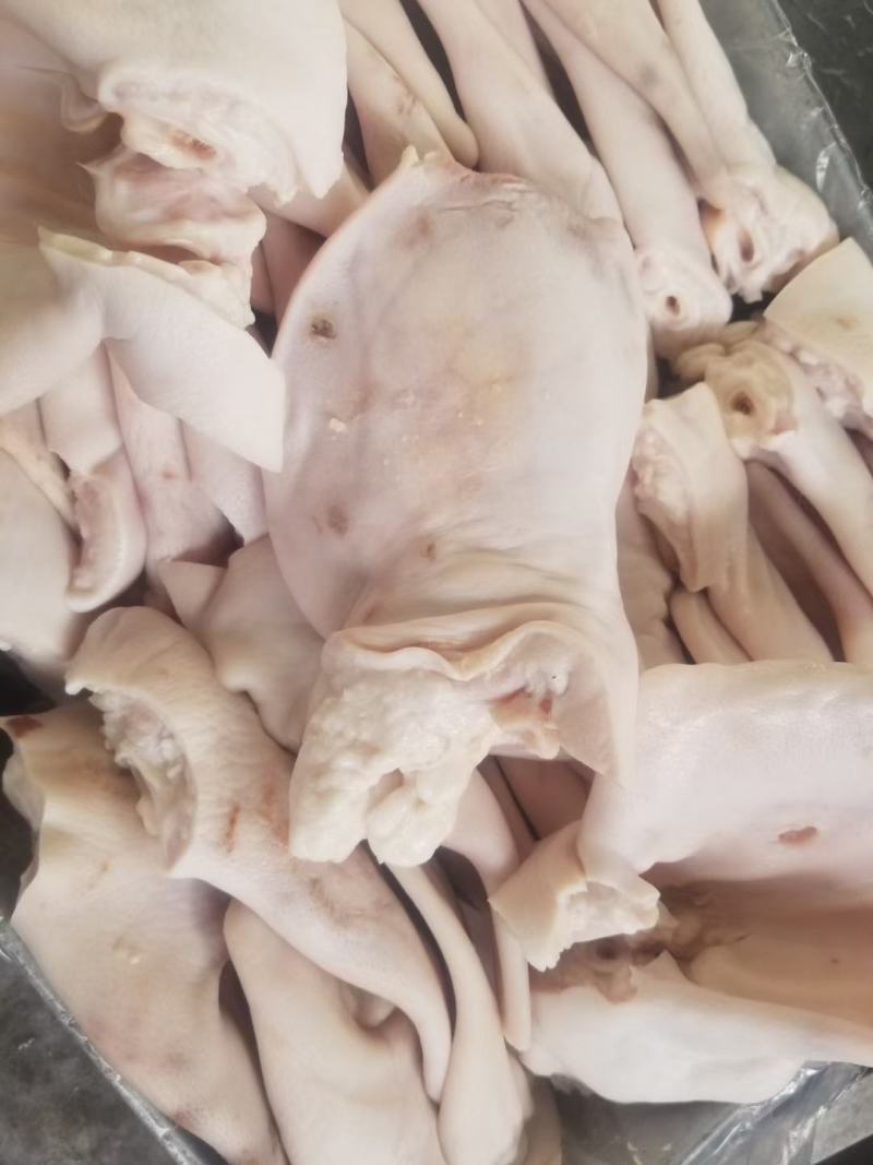 肥猪鲜品缺耳尖猪耳
