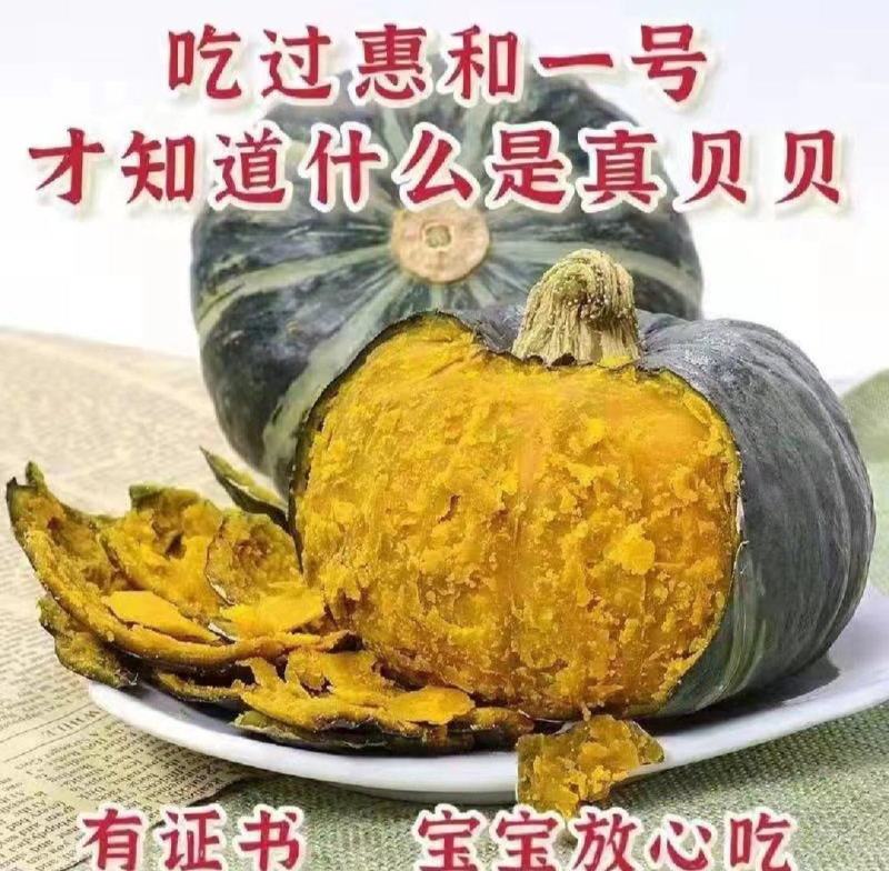 软糯香甜贝贝小南瓜惠和一号放心吃