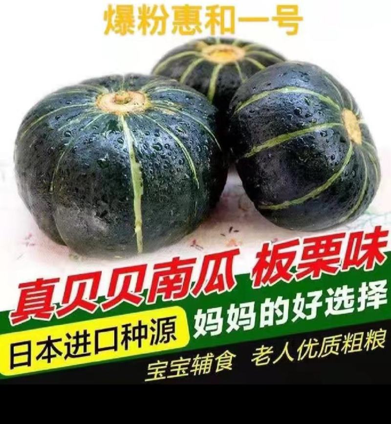 软糯香甜贝贝小南瓜惠和一号放心吃