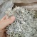 来凤藤茶野生龙须藤茶少量