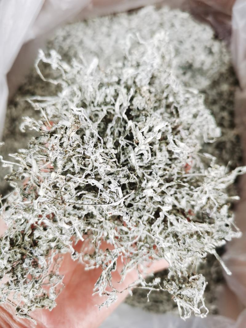 来凤藤茶野生龙须藤茶少量