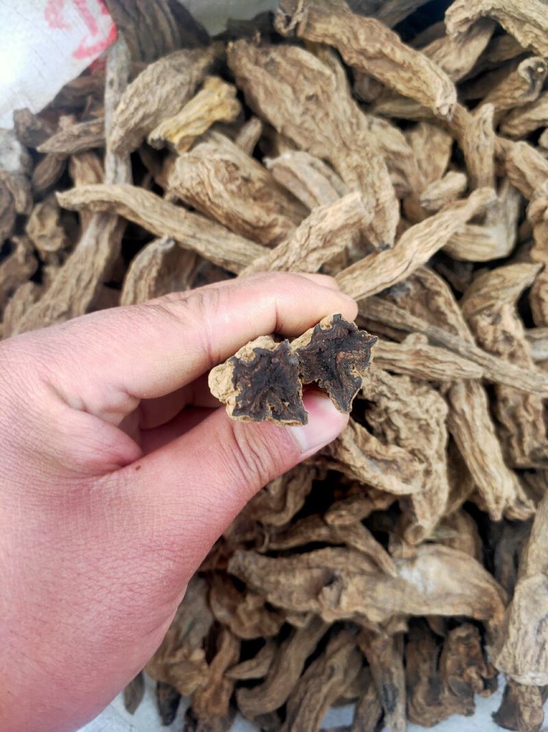 改良玄参苗，价格合适，产地直发，货源充足