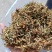 野生金银花