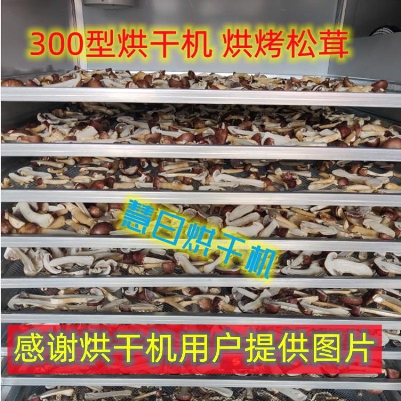 松茸食用菌烘干机厂家直销智能控温烘干机高效快捷烘干效果好