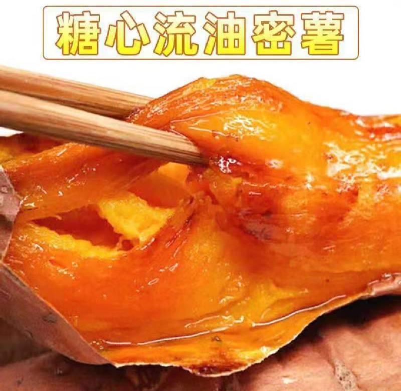烟薯25号蜜薯烤地瓜专用农科院产地直供