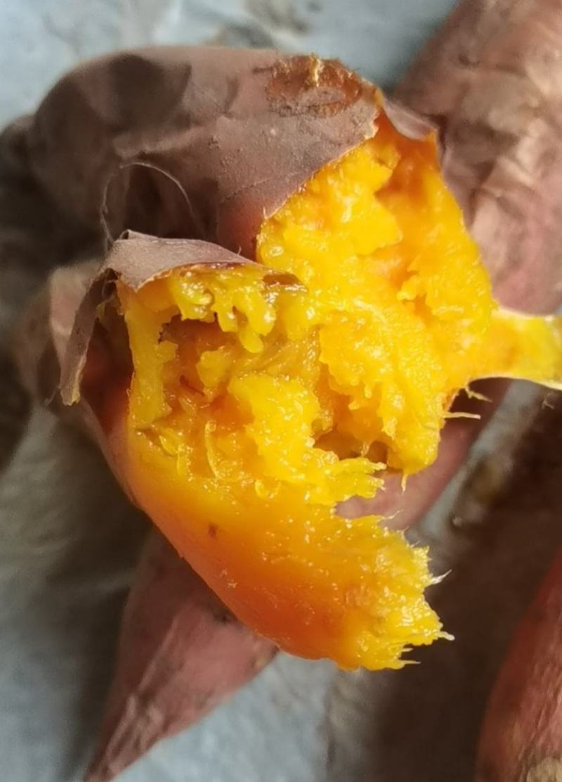 烟薯25号蜜薯烤地瓜专用农科院产地直供