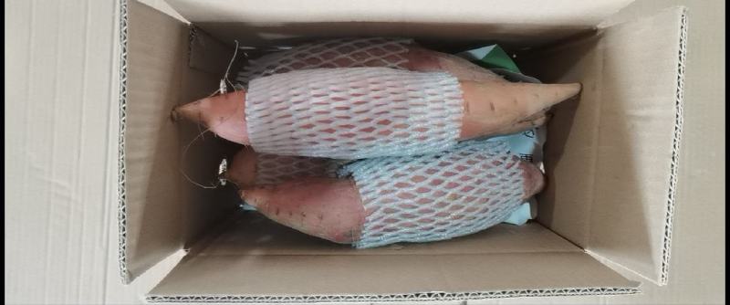 烟薯25号蜜薯烤地瓜专用农科院产地直供