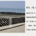 特价霞浦头水紫菜、福建特产野生天然紫菜干货园型散装紫菜包