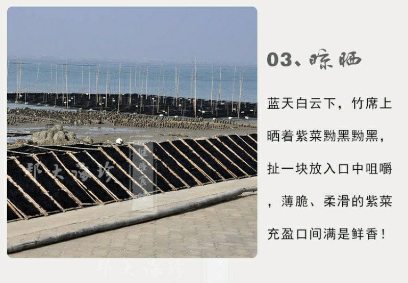 特价霞浦头水紫菜、福建特产野生天然紫菜干货园型散装紫菜包