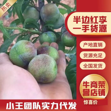 产地直销批发四川大凉山半边红李子产地大量供货