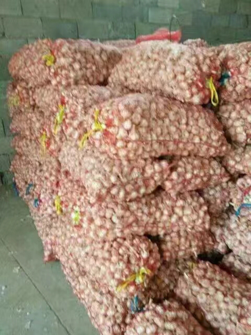 （推荐）四六瓣大量上市，保质保量，可支持视频看货欢迎前来选购
