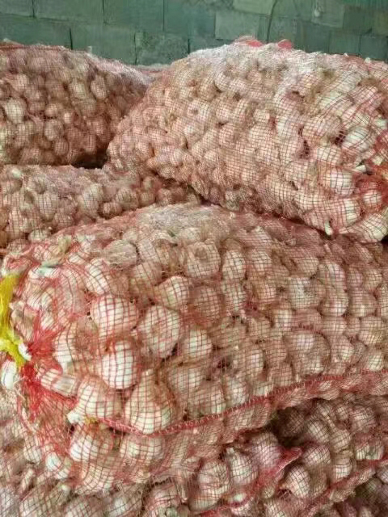 （推荐）四六瓣大量上市，保质保量，可支持视频看货欢迎前来选购