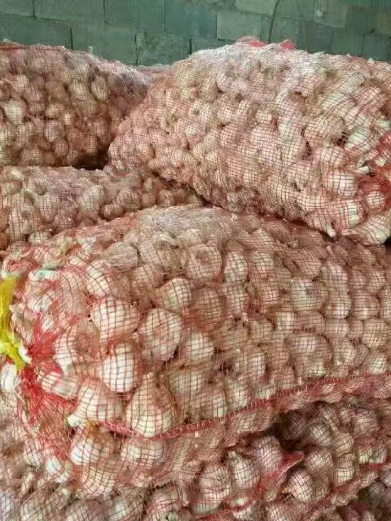 （推荐）四六瓣大量上市，保质保量，可支持视频看货欢迎前来选购