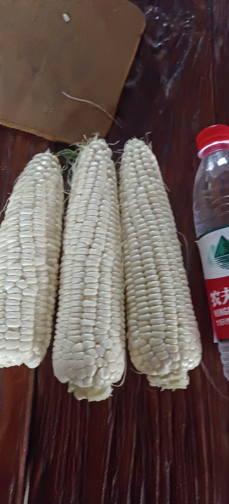 糯玉米