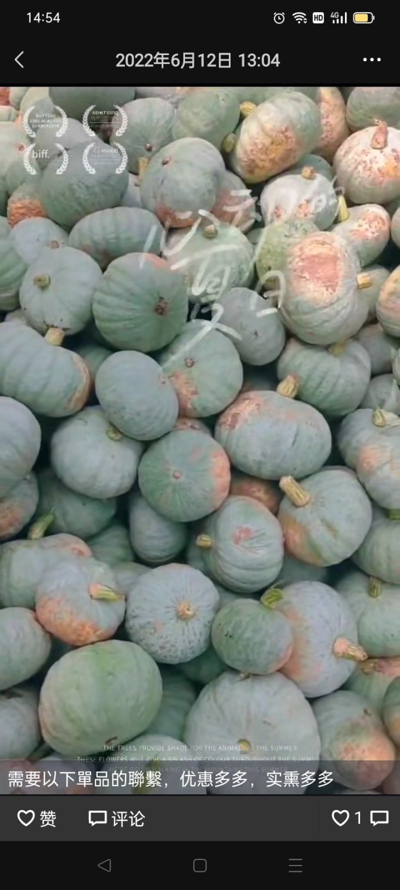 弯弯南瓜，丑瓜