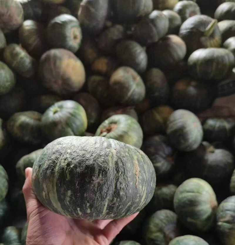 弯弯南瓜，丑瓜