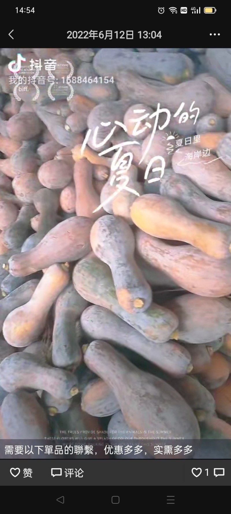 弯弯南瓜，丑瓜