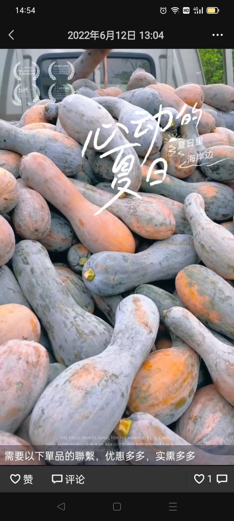 弯弯南瓜，丑瓜