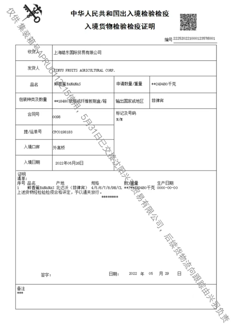 进口香蕉青蕉二黄蕉大量现货可现场看货，品质有保障